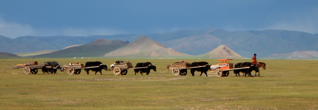 Mongolie 2